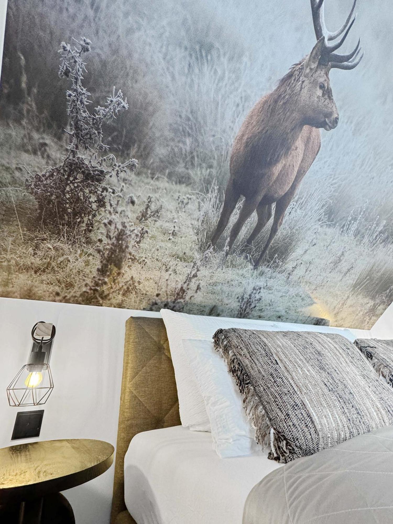 Cblue: Seeblick, Kamin, Wallbox, Natur Бентвиш Экстерьер фото